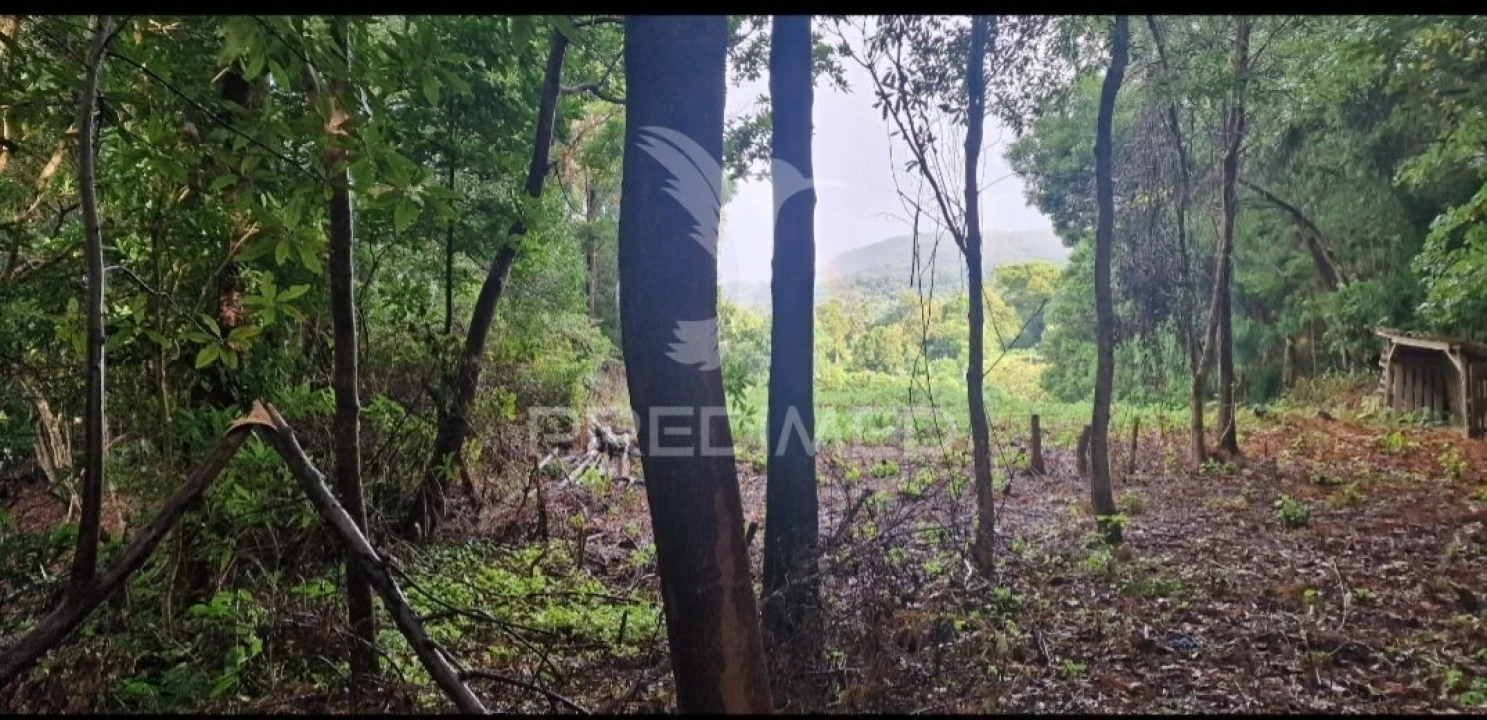 Terreno para Venda em Biscoitos Foto 8