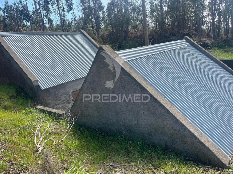 Moradia T2 para Venda em Ponta do Pargo Foto 4