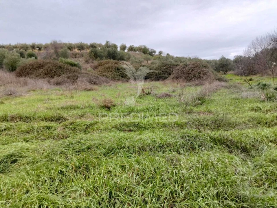 Terreno para Venda em Nossa Senhora da Conceição, São Brás dos Matos, Juromenha Foto 8