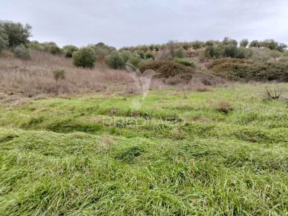 Terreno para Venda em Nossa Senhora da Conceição, São Brás dos Matos, Juromenha Foto 13