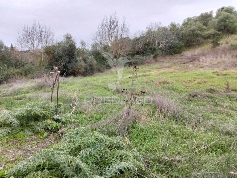 Terreno para Venda em Nossa Senhora da Conceição, São Brás dos Matos, Juromenha Foto 5