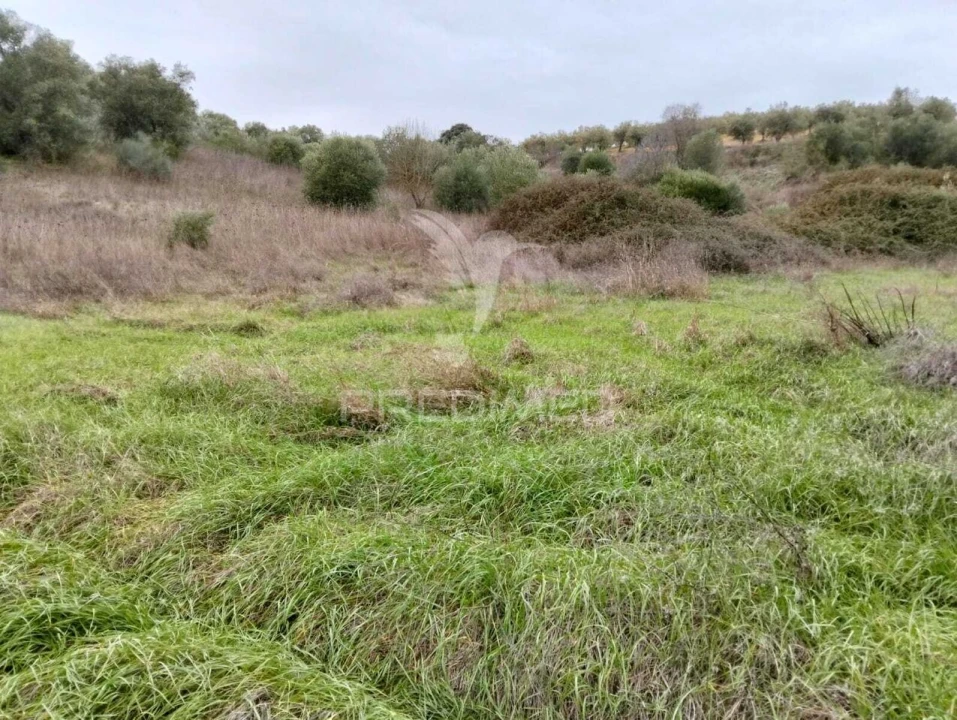 Terreno para Venda em Nossa Senhora da Conceição, São Brás dos Matos, Juromenha Foto 11