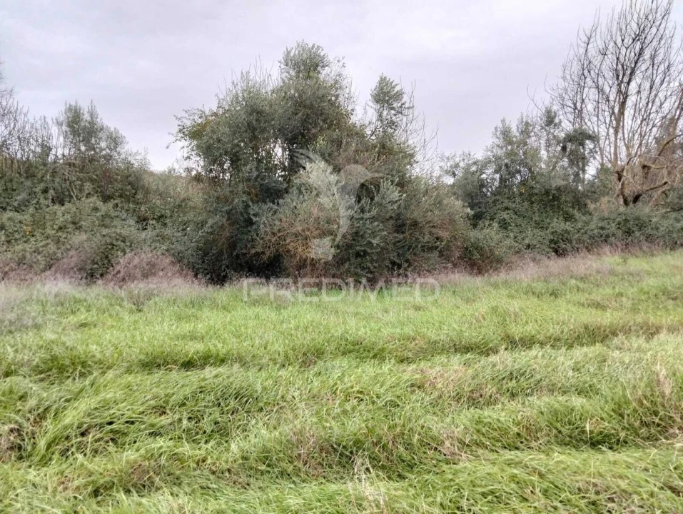 Terreno para Venda em Nossa Senhora da Conceição, São Brás dos Matos, Juromenha Foto 1