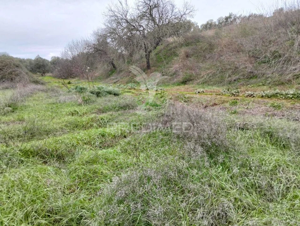 Terreno para Venda em Nossa Senhora da Conceição, São Brás dos Matos, Juromenha Foto 10