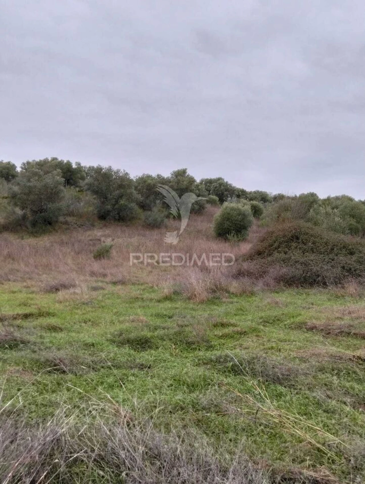 Terreno para Venda em Nossa Senhora da Conceição, São Brás dos Matos, Juromenha Foto 14