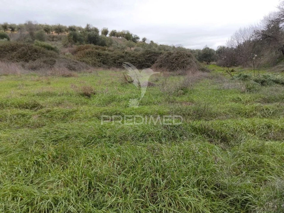 Terreno para Venda em Nossa Senhora da Conceição, São Brás dos Matos, Juromenha Foto 9