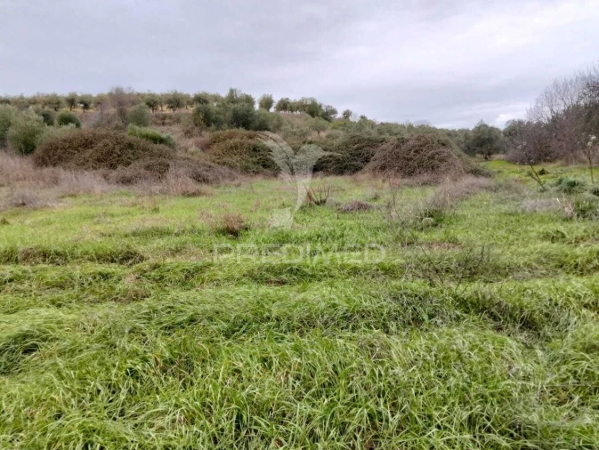 Terreno para Venda em Nossa Senhora da Conceição, São Brás dos Matos, Juromenha Foto 8