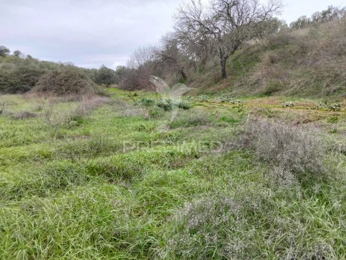 Terreno para Venda em Nossa Senhora da Conceição, São Brás dos Matos, Juromenha Foto 2