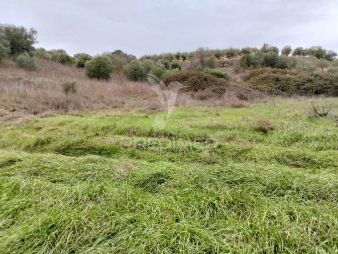 Terreno para Venda em Nossa Senhora da Conceição, São Brás dos Matos, Juromenha Foto 13