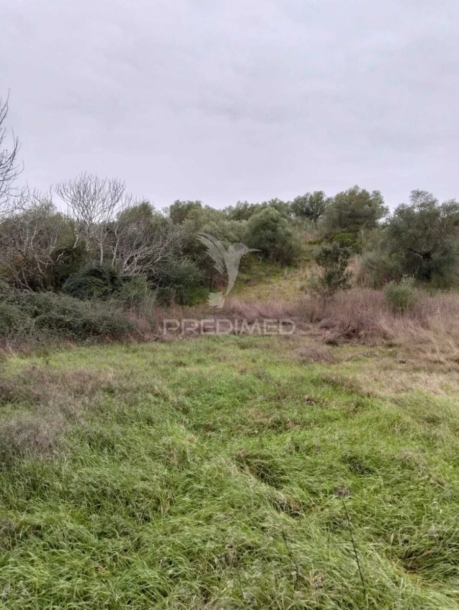 Terreno para Venda em Nossa Senhora da Conceição, São Brás dos Matos, Juromenha Foto 12