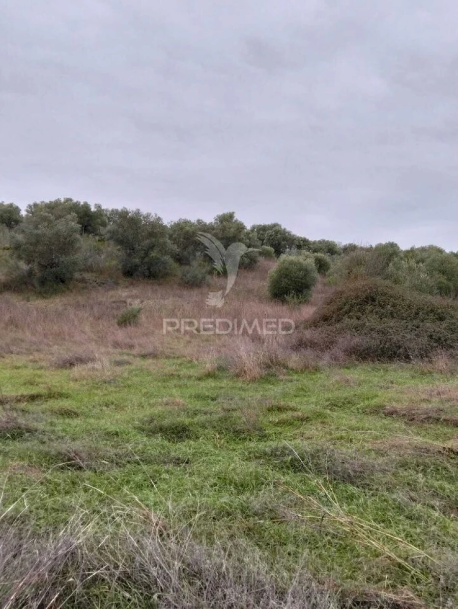 Terreno para Venda em Nossa Senhora da Conceição, São Brás dos Matos, Juromenha Foto 14