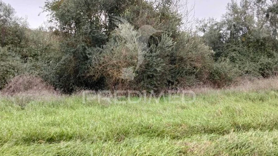 Terreno para Venda em Nossa Senhora da Conceição, São Brás dos Matos, Juromenha