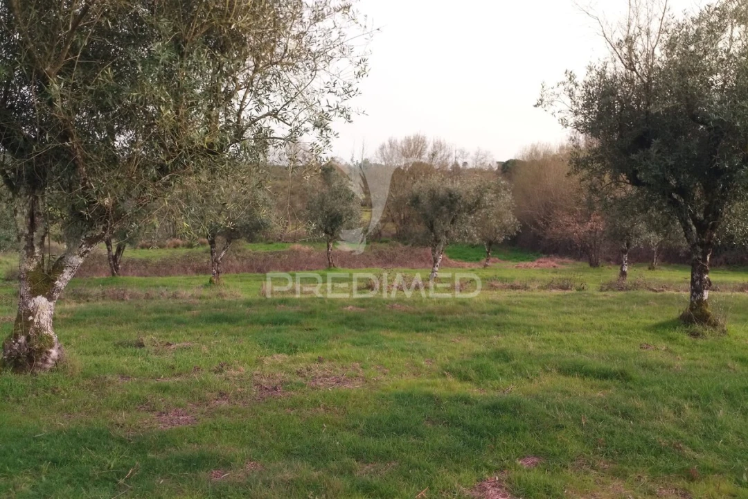 Terreno para Venda em Espinho Foto 20