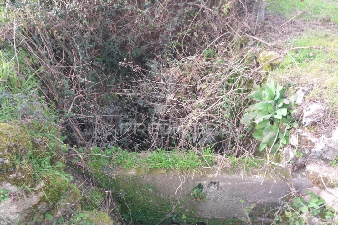 Terreno para Venda em Espinho Foto 14