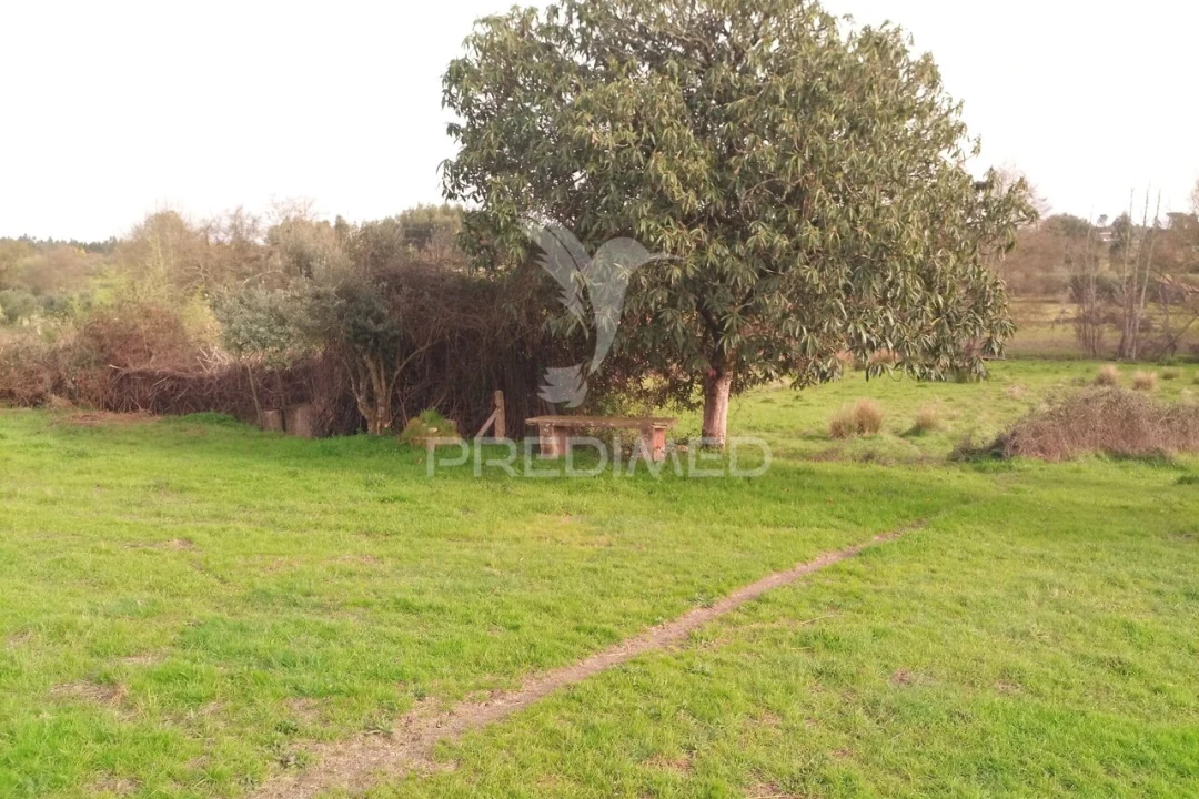 Terreno para Venda em Espinho Foto 18