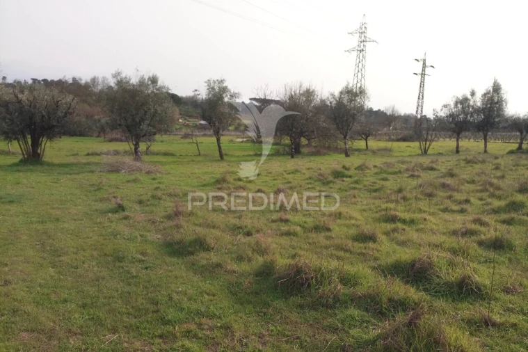 Terreno para Venda em Espinho Foto 13