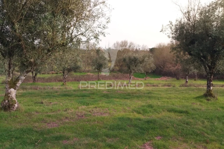 Terreno para Venda em Espinho Foto 20