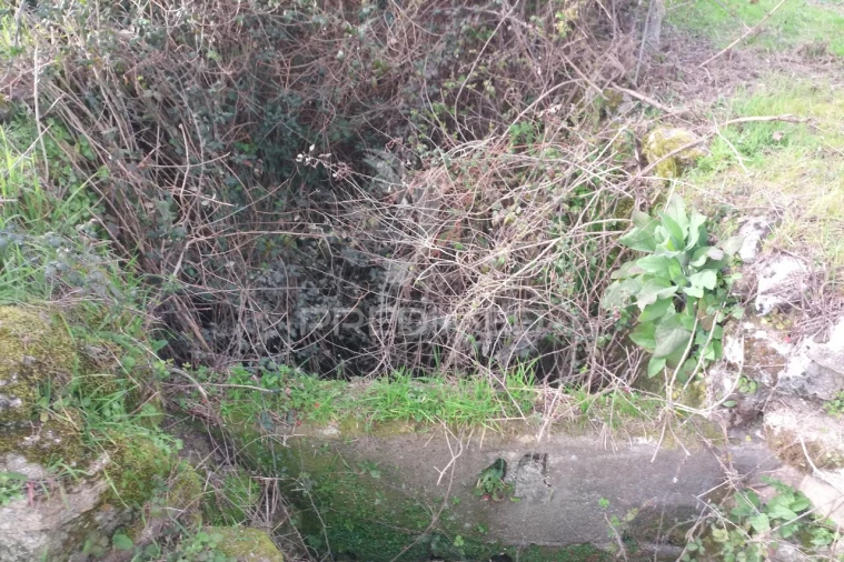 Terreno para Venda em Espinho Foto 14