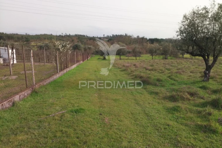 Terreno para Venda em Espinho Foto 6