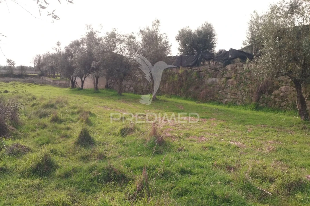 Terreno para Venda em Espinho Foto 12