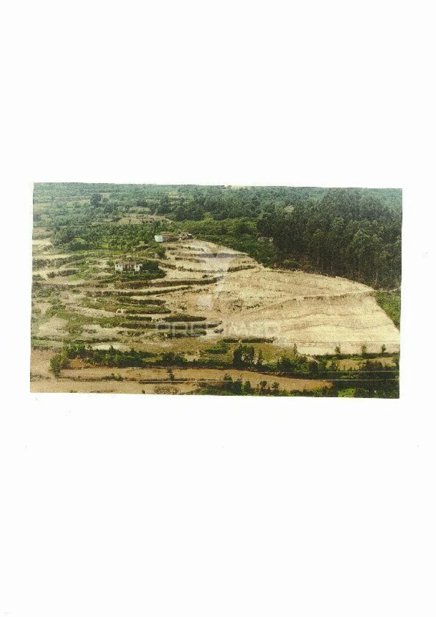 Terreno para Venda em Penhalonga e Paços de Gaiolo Foto 3