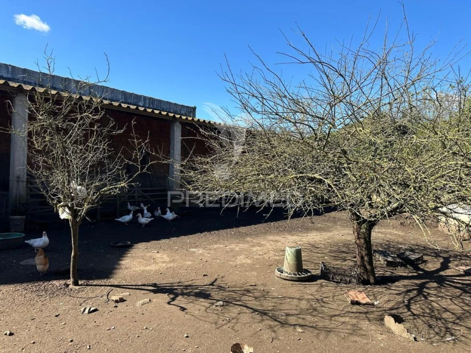 Terreno para Venda em Arrouquelas Foto 1