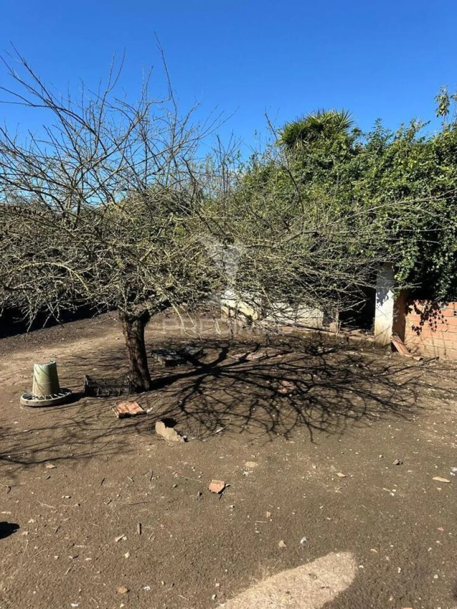 Terreno para Venda em Arrouquelas Foto 4