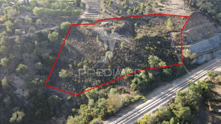 Quinta T1 para Venda em Luzianes-Gare Foto 17