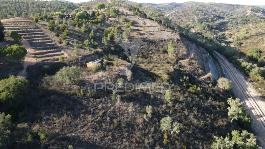 Quinta T1 para Venda em Luzianes-Gare Foto 13