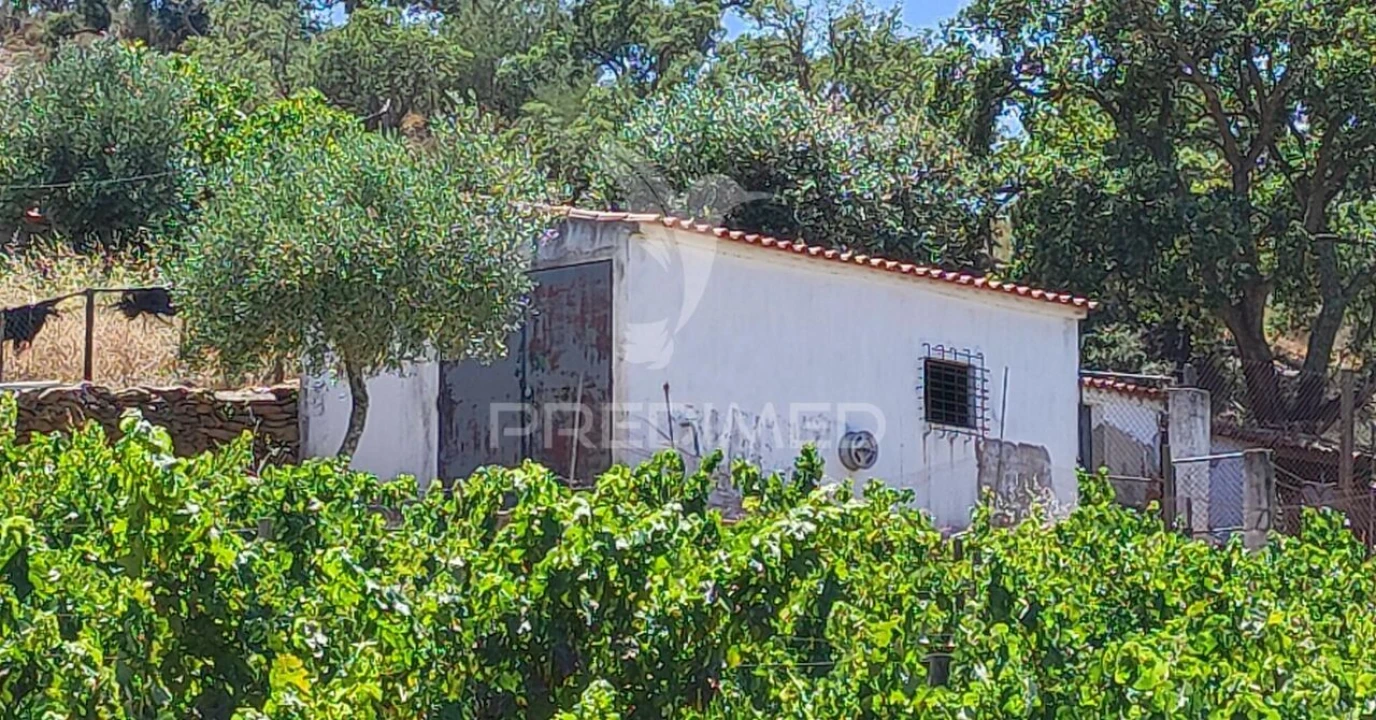 Moradia T2 para Venda em Vale de Santiago Foto 27