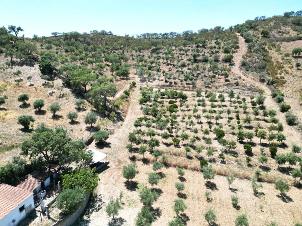 Moradia T2 para Venda em Vale de Santiago Foto 24