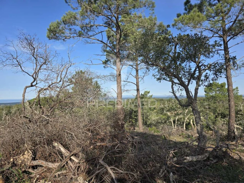 Terreno para Venda em Melides Foto 15