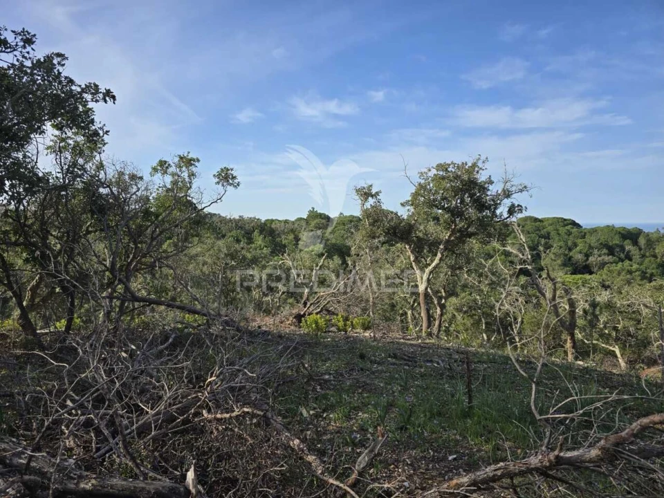 Terreno para Venda em Melides Foto 29
