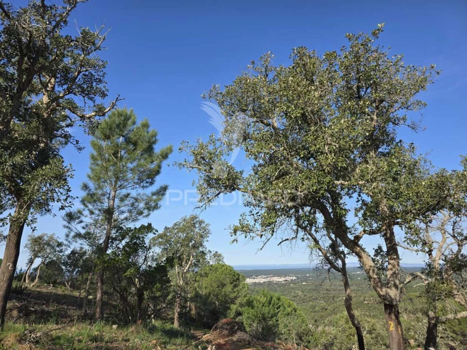 Terreno para Venda em Melides Foto 4