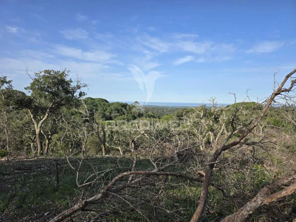 Terreno para Venda em Melides Foto 30