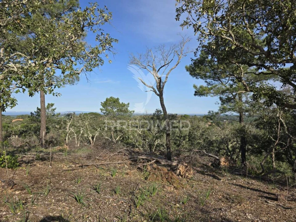 Terreno para Venda em Melides Foto 33