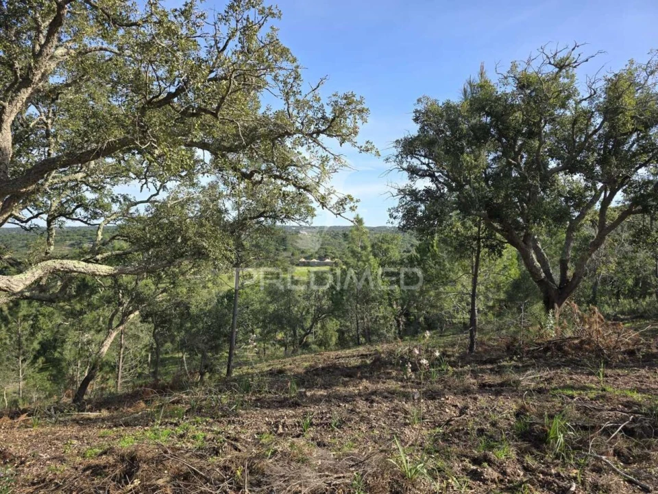 Terreno para Venda em Melides Foto 12