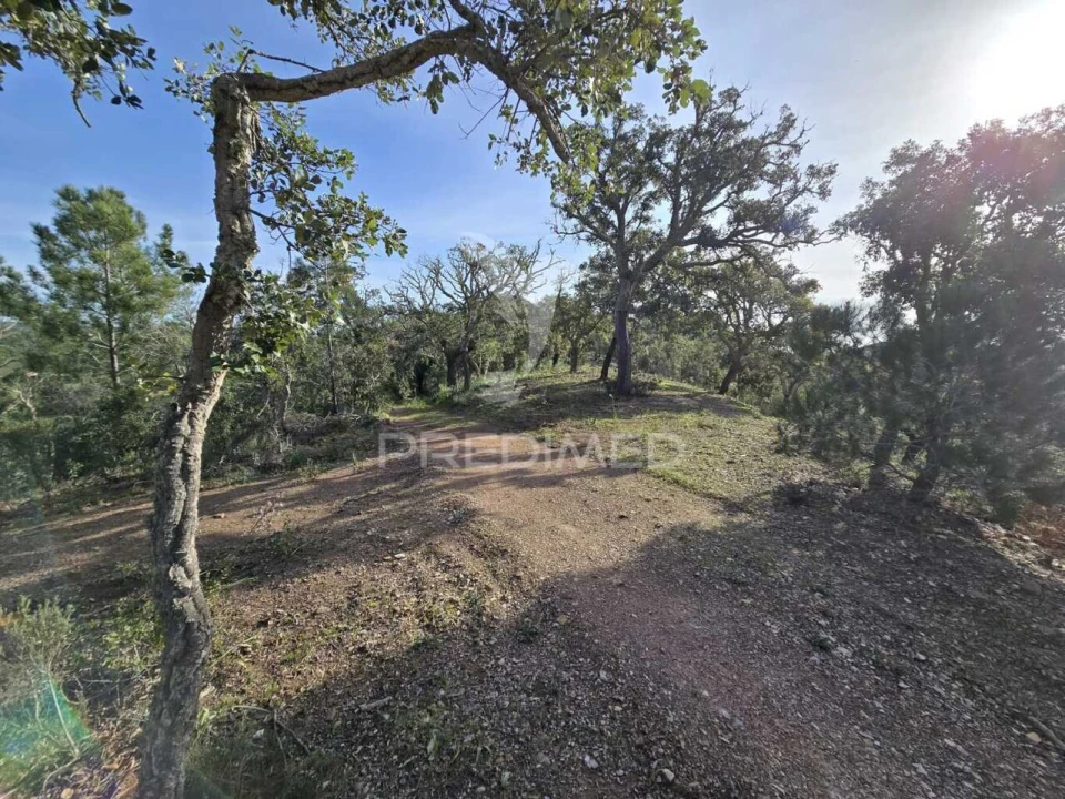 Terreno para Venda em Melides Foto 34