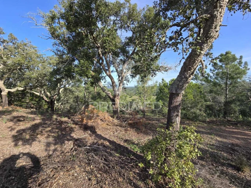 Terreno para Venda em Melides Foto 2