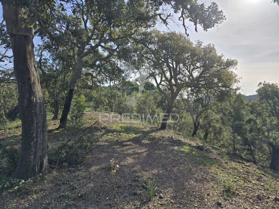 Terreno para Venda em Melides Foto 8