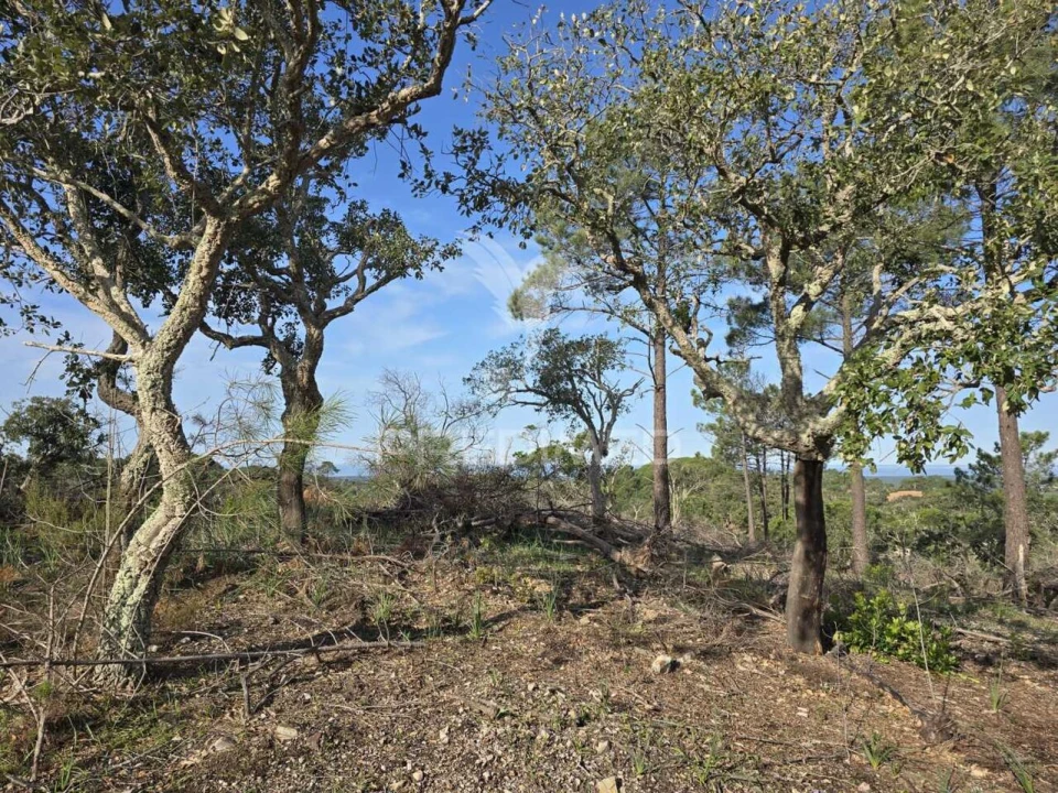 Terreno para Venda em Melides Foto 32