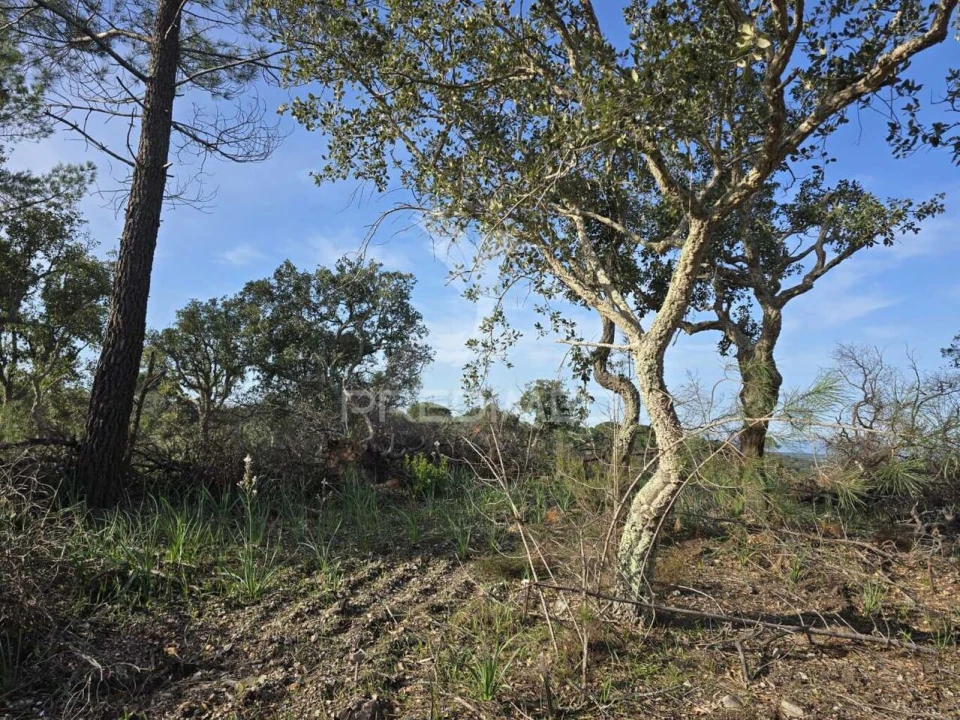 Terreno para Venda em Melides Foto 31