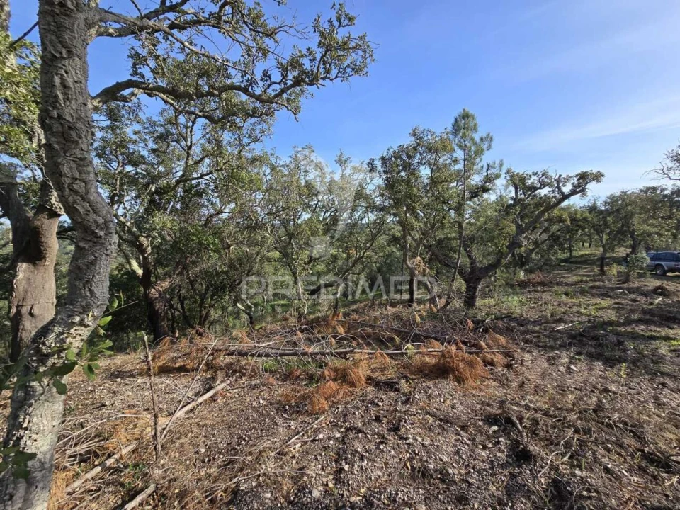 Terreno para Venda em Melides Foto 20