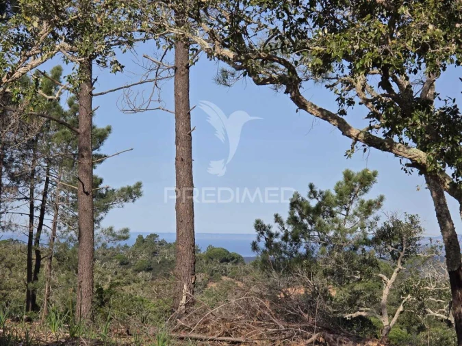 Terreno para Venda em Melides Foto 22