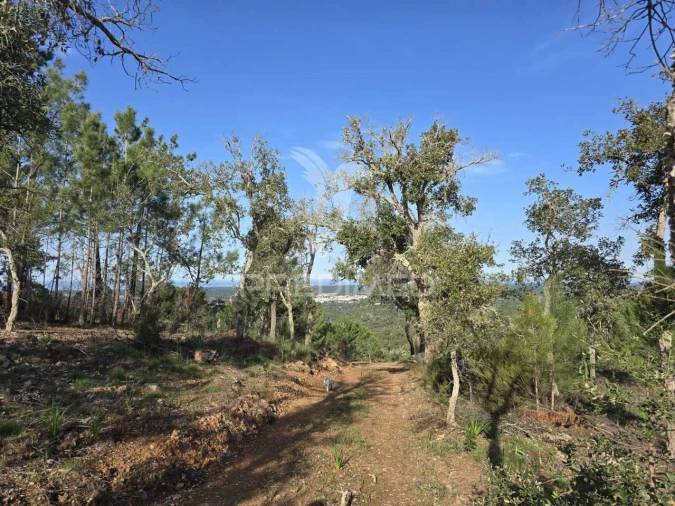 Terreno para Venda em Melides Foto 3
