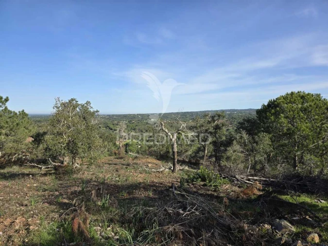 Terreno para Venda em Melides Foto 5