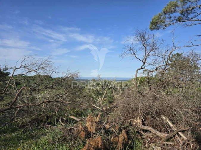 Terreno para Venda em Melides Foto 16
