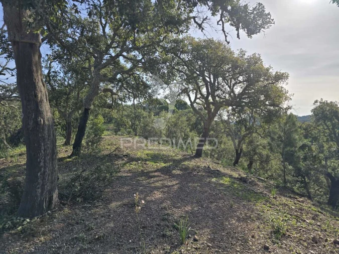 Terreno para Venda em Melides Foto 8