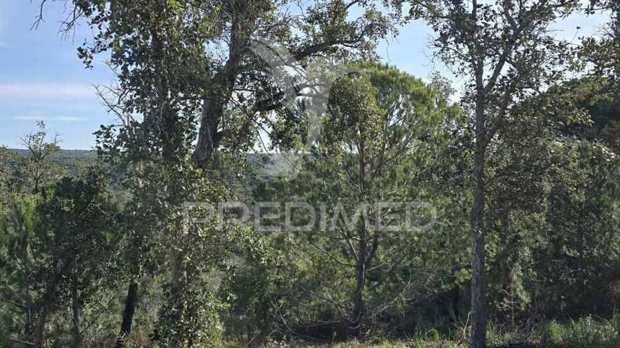 Terreno para Venda em Melides