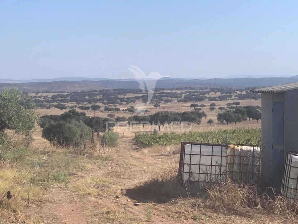 Terreno para Venda em Granja Foto 17